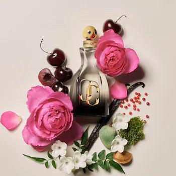 Jimmy Choo I Want You Forever Sample